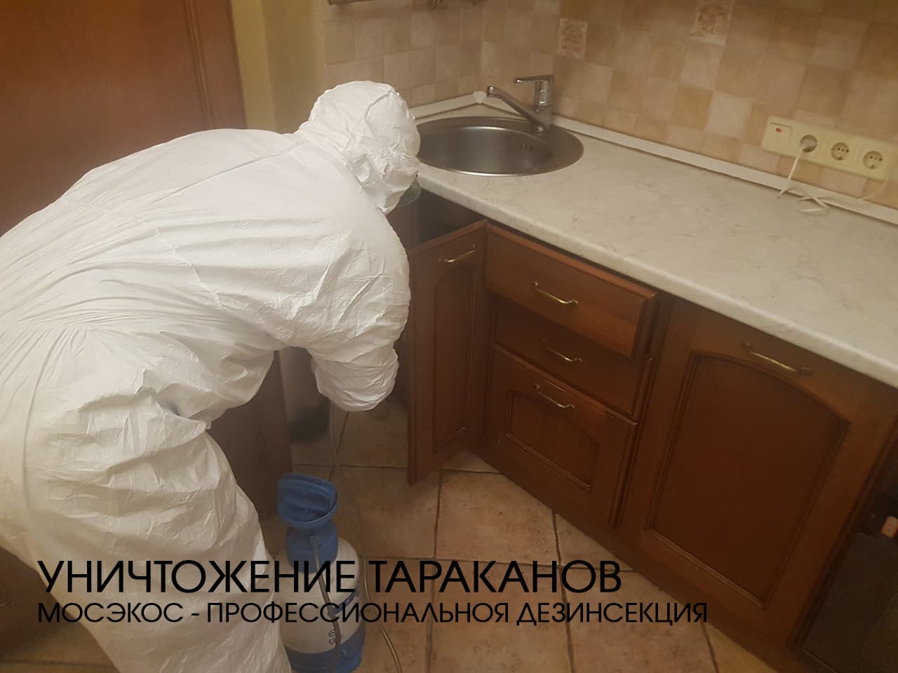 Служба по уничтожению тараканов в Звенигороде