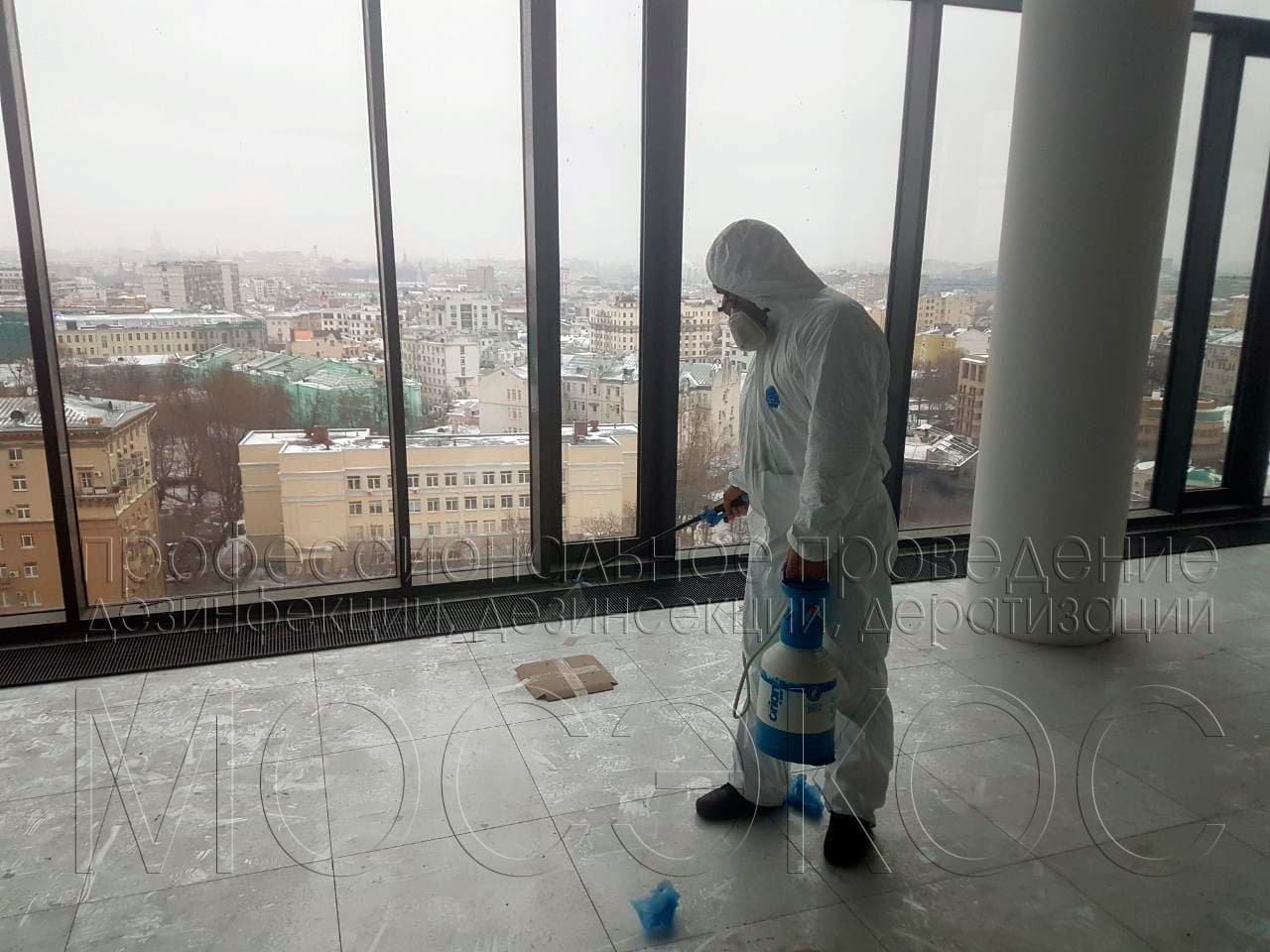 Обработка от тараканов в квартире в Звенигороде