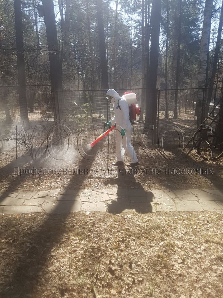 Уничтожение клещей на участке в Звенигороде