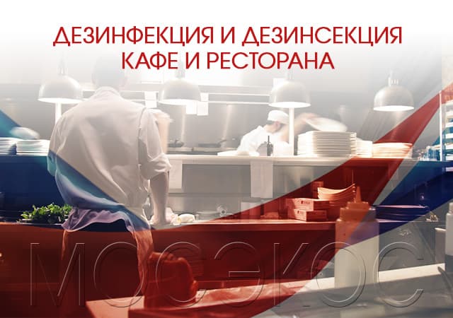 Дезинсекция предприятия общественного питания в Звенигороде