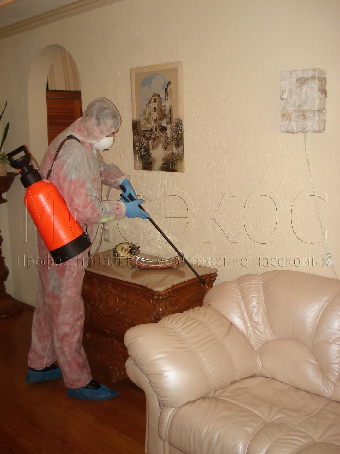 Клопы дома: как избавиться от паразитов в Звенигороде